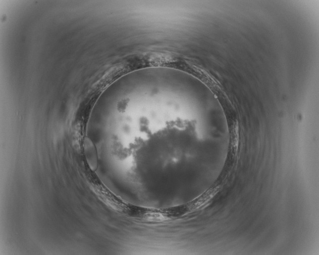 X0000087420519200704201429