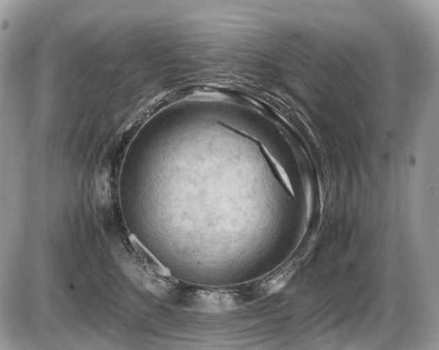 X0000087420520200704201429