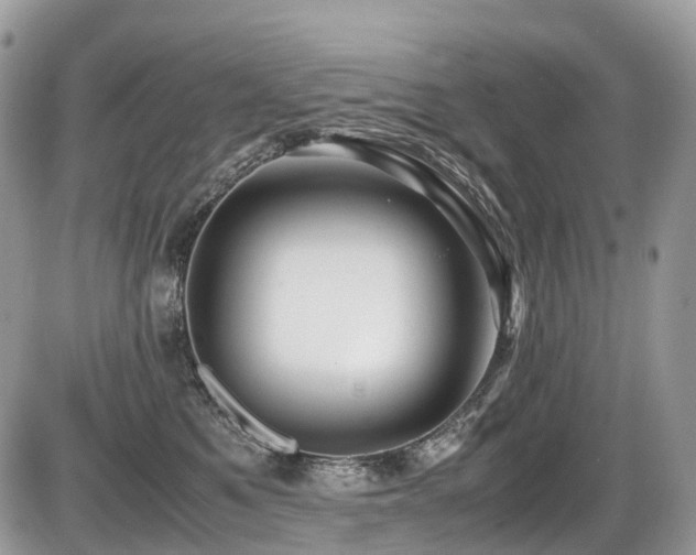 X0000087420521200704201429