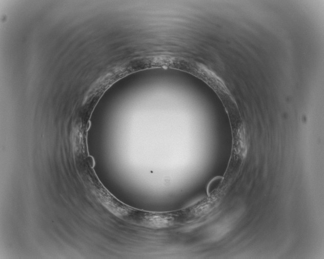 X0000087420522200704201429