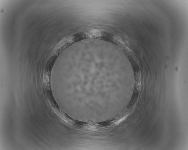 X0000087420523200704201429