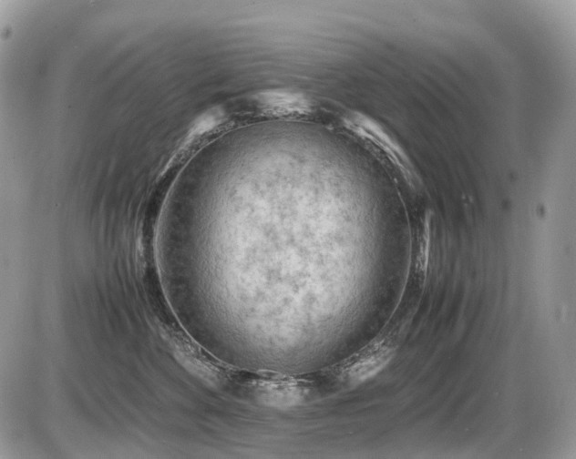 X0000087420524200704201429