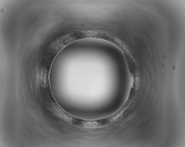 X0000087420525200704201429