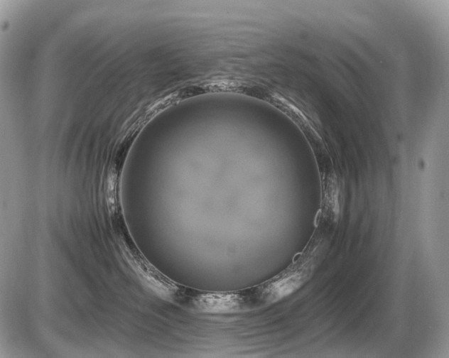 X0000087420526200704201429