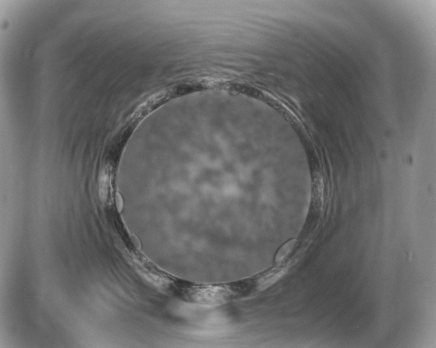 X0000087420527200704201429