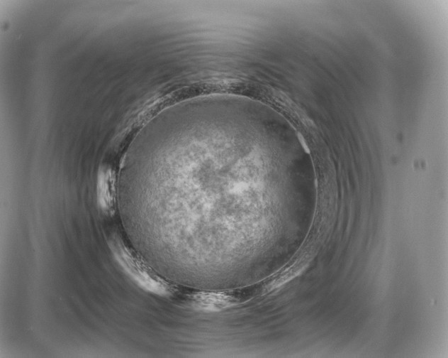 X0000087420528200704201429