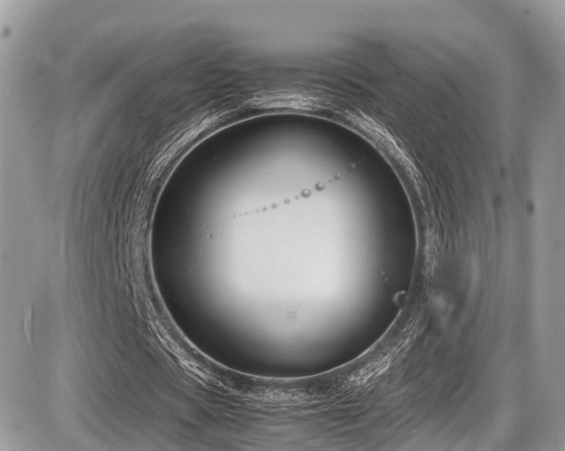 X0000087420529200704201428