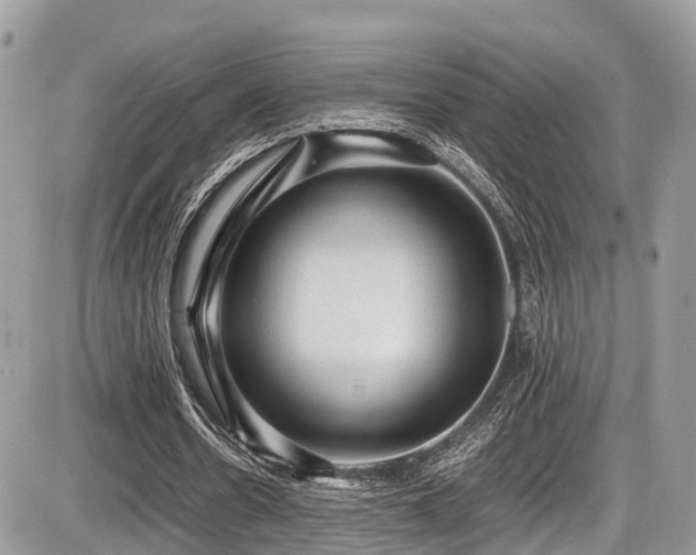 X0000087420530200704201428