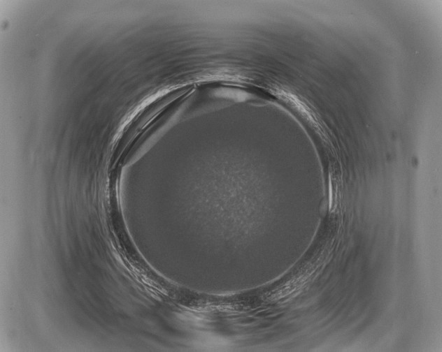 X0000087420531200704201428