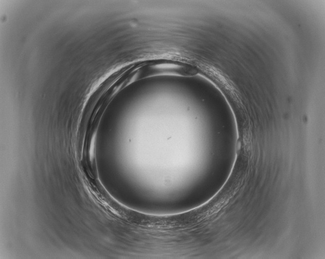 X0000087420532200704201428