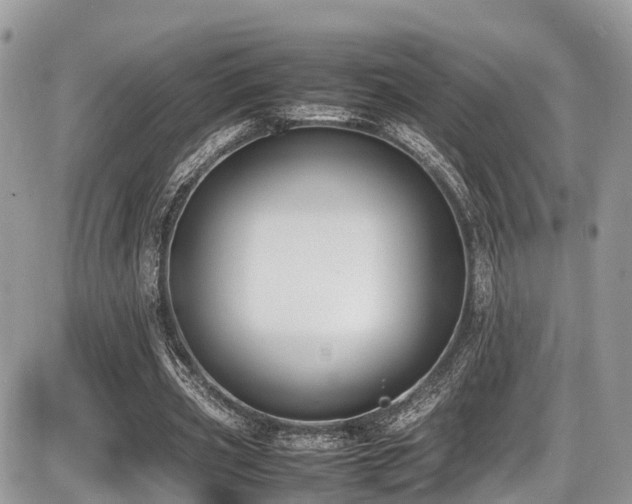 X0000087420533200704201428