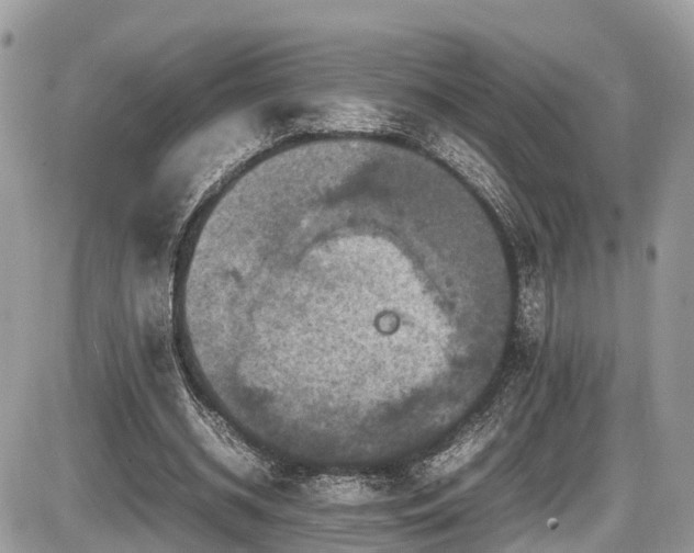 X0000087420534200704201428