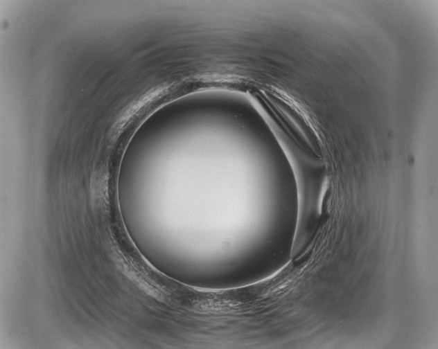 X0000087420535200704201428