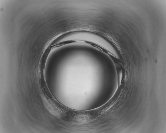 X0000087420536200704201428