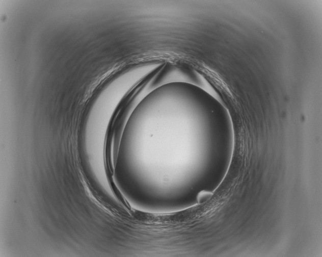 X0000087420538200704201428