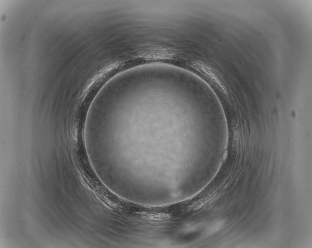 X0000087420539200704201428