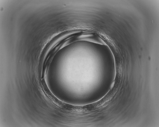 X0000087420540200704201428