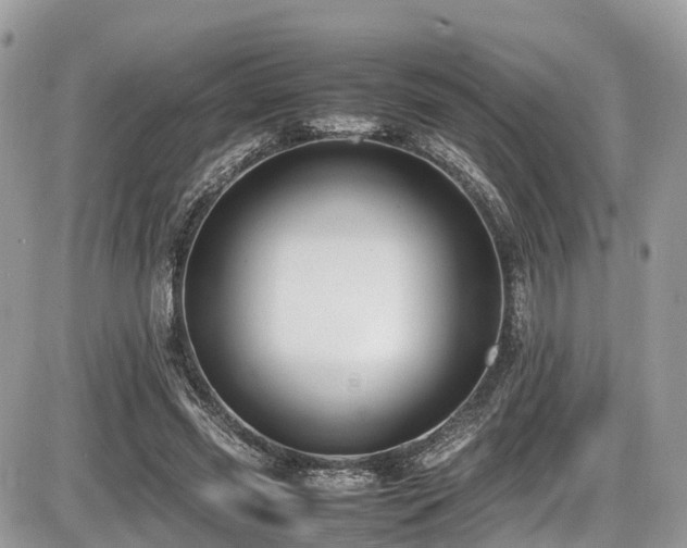 X0000087420541200704201428