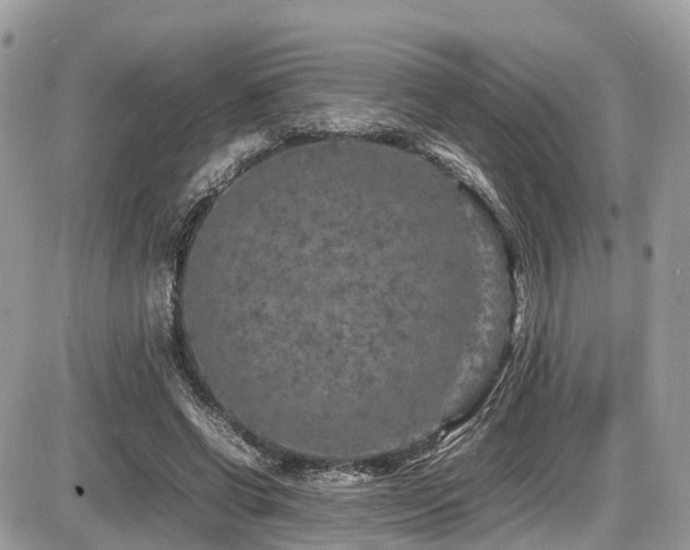 X0000087420542200704201428