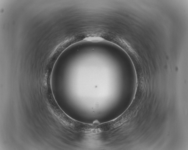 X0000087420543200704201428