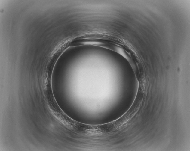 X0000087420544200704201428