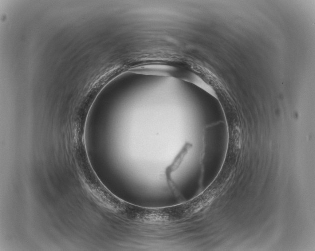 X0000087420546200704201428