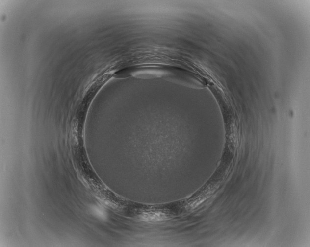 X0000087420547200704201428