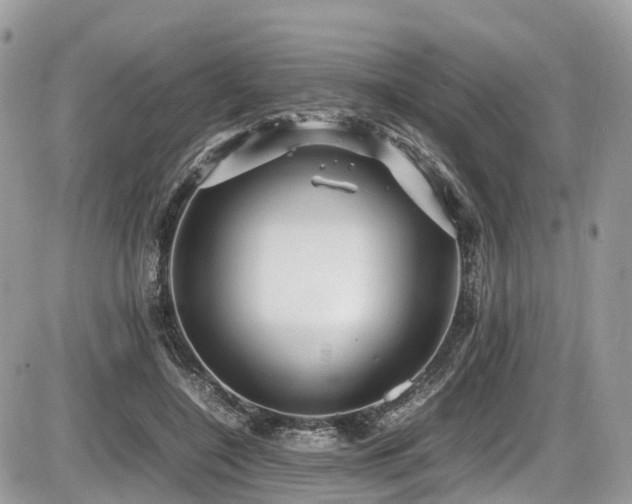 X0000087420548200704201428