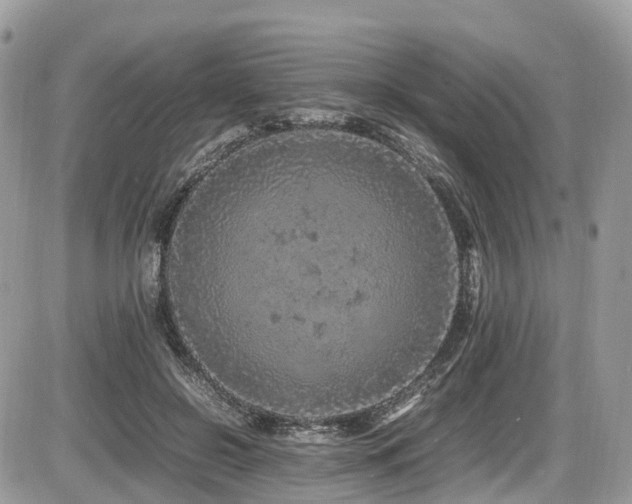 X0000087420550200704201428