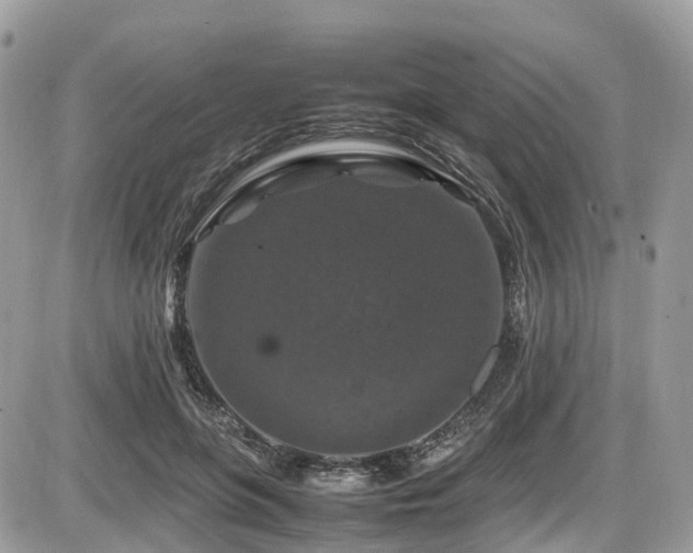 X0000087420551200704201428