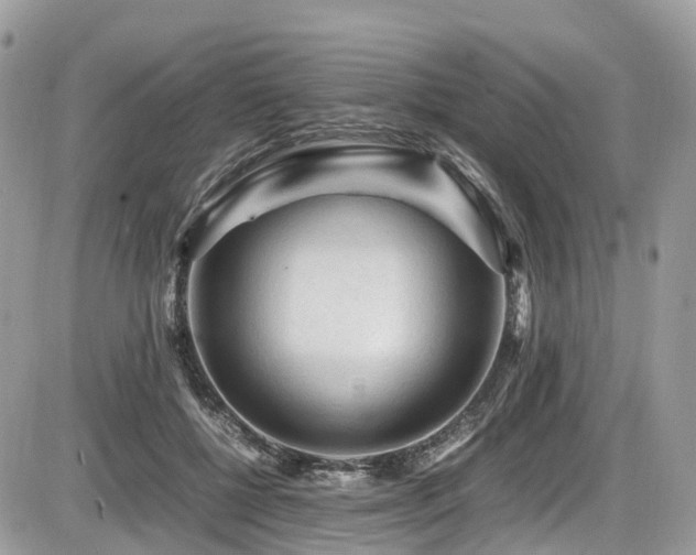 X0000087420552200704201428