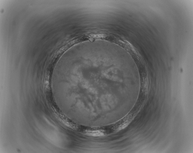 X0000087420553200704201428