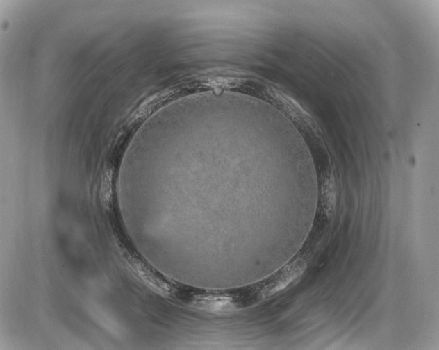 X0000087420554200704201428