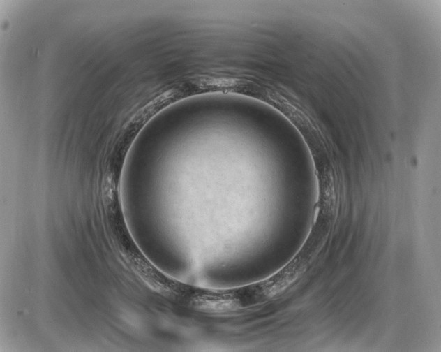 X0000087420555200704201428