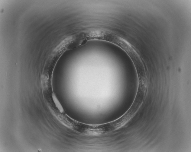 X0000087420556200704201428