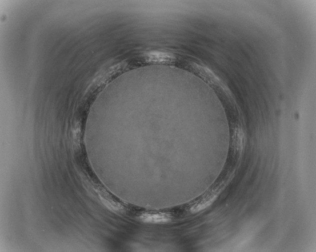 X0000087420557200704201428