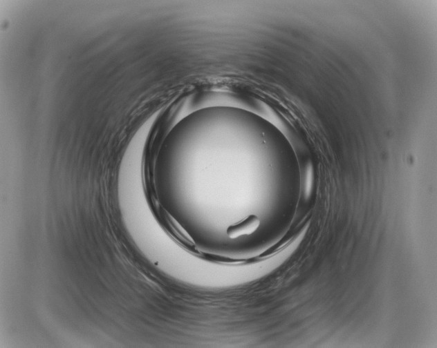 X0000087420558200704201428