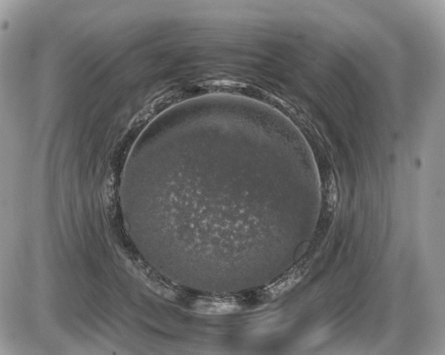 X0000087420559200704201428