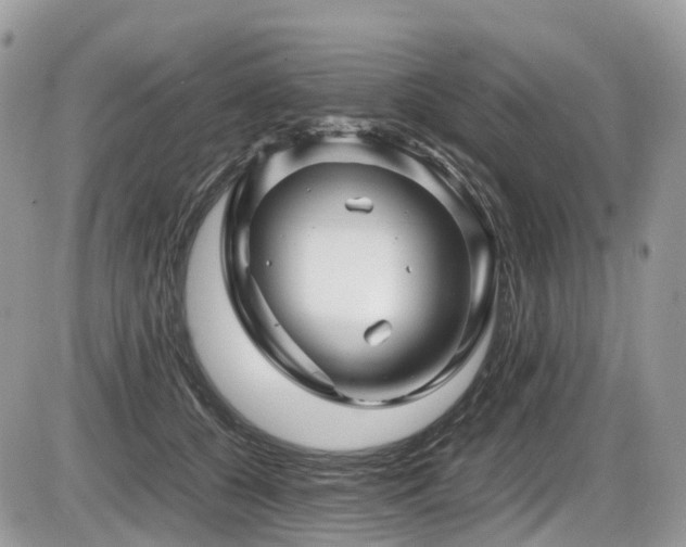 X0000087420560200704201428