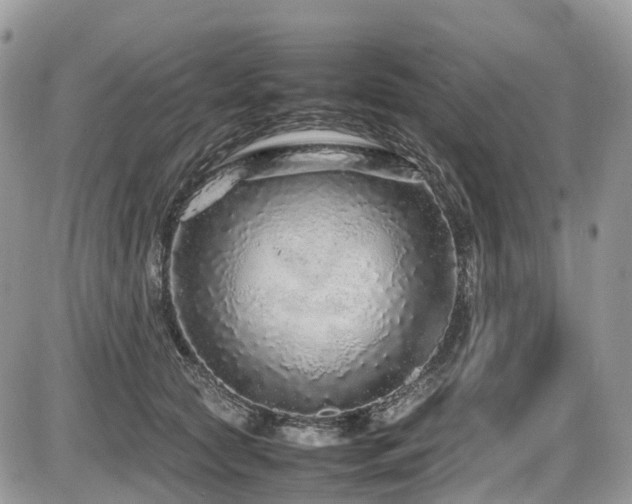 X0000087420561200704201428