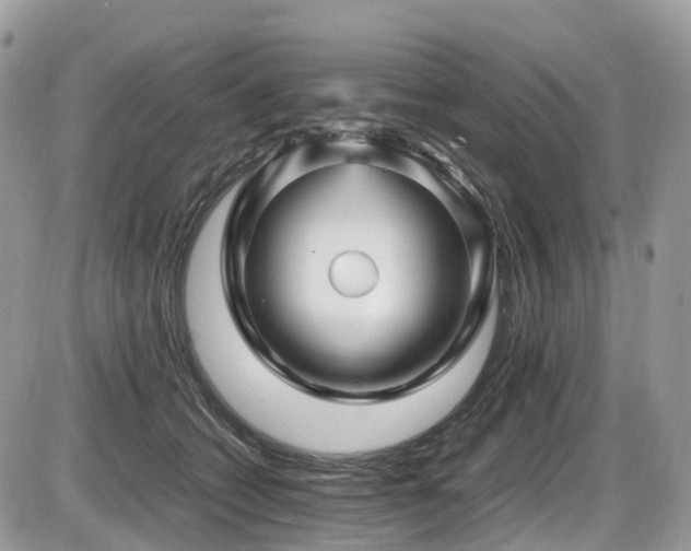 X0000087420562200704201429