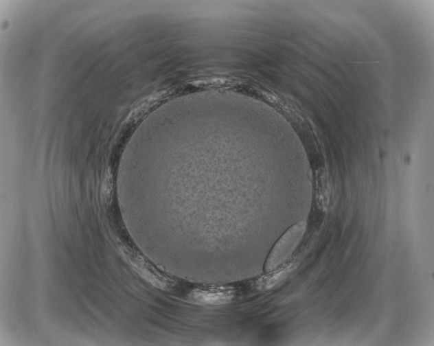 X0000087420563200704201429