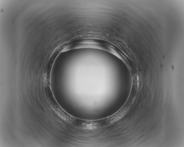 X0000087420564200704201429