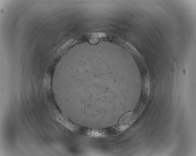 X0000087420565200704201429