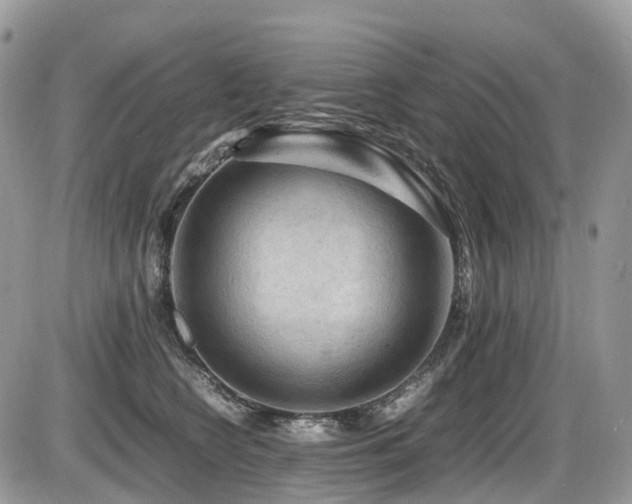 X0000087420566200704201429