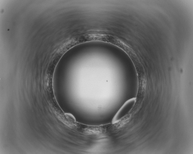 X0000087420567200704201429