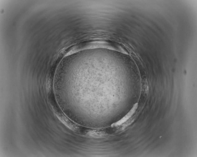 X0000087420568200704201429