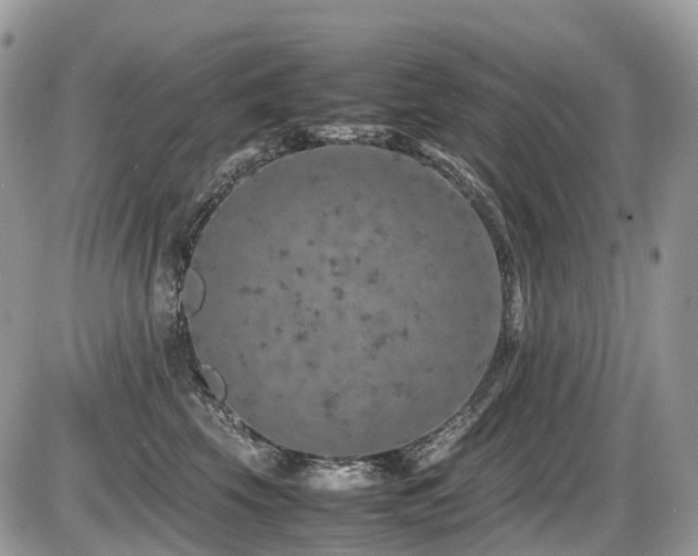 X0000087420569200704201429