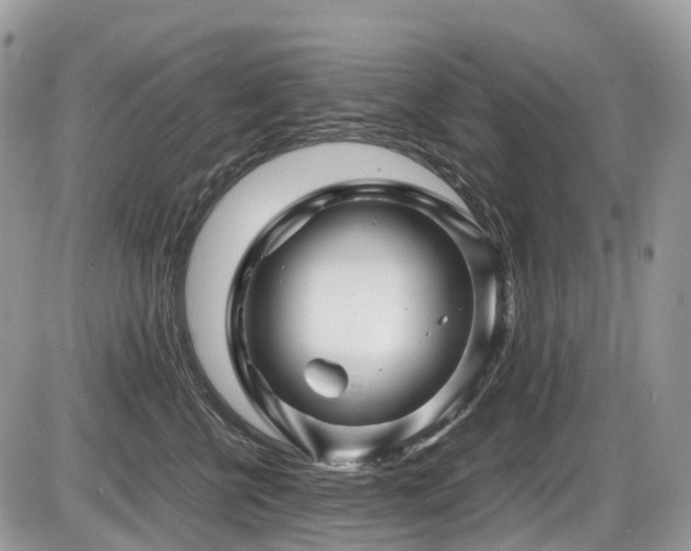 X0000087420570200704201429