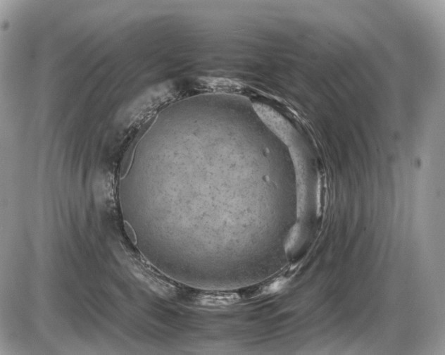 X0000087420571200704201429